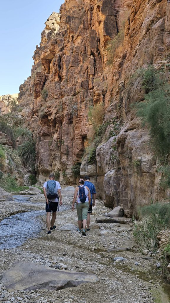 6 Internship Programs in Amman in 2026