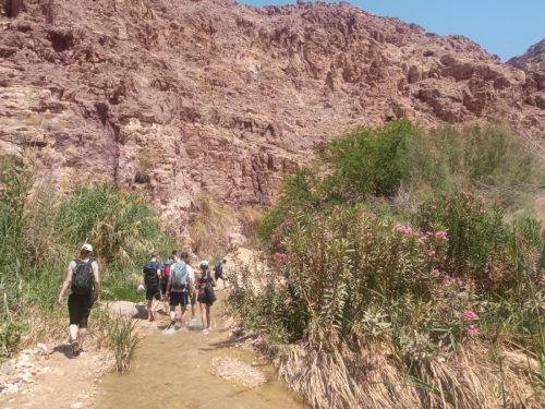 a4b14e10-7746-49d7-8c74-4eb1290eea72